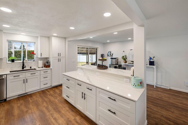 kitchen featuring dark wood-type flooring, stainless steel dishwasher, a sink, and decorative backsplash