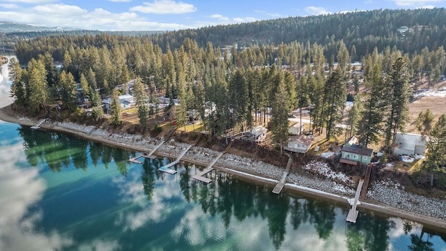 drone / aerial view with a water view and a wooded view