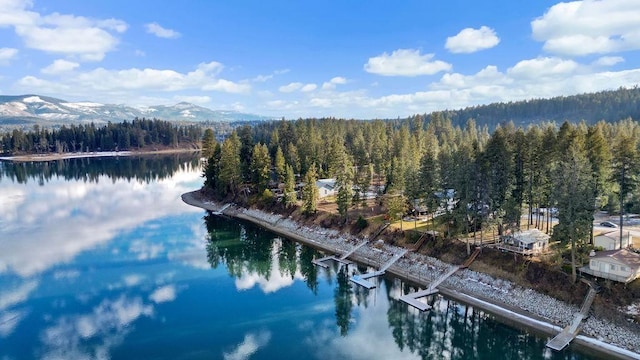 bird's eye view with a forest view and a water and mountain view