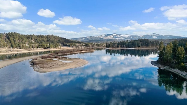 property view of water featuring a mountain view and a view of trees