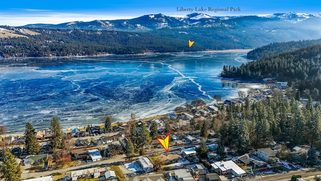 drone / aerial view with a mountain view and a forest view