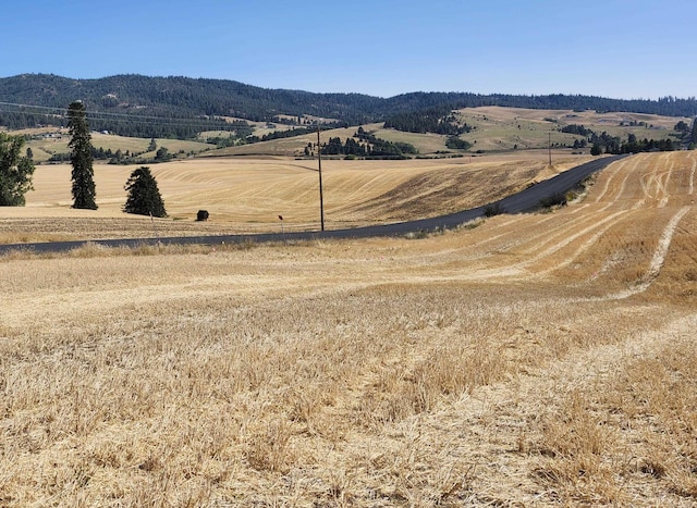 S8000 Jackson Rd, Mica WA, 99023 land for sale