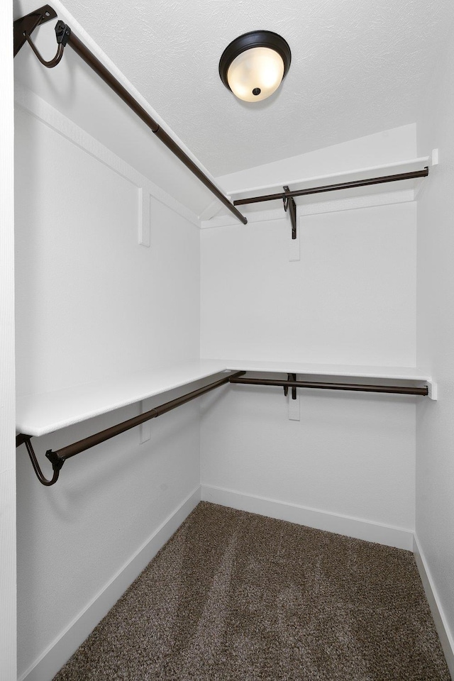 walk in closet with dark colored carpet