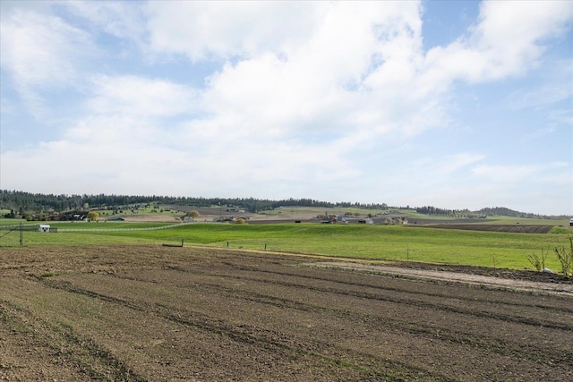 view of yard with a rural view