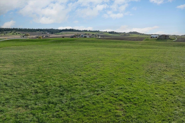 view of yard featuring a rural view