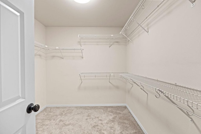 spacious closet with carpet flooring