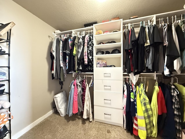 walk in closet featuring carpet floors