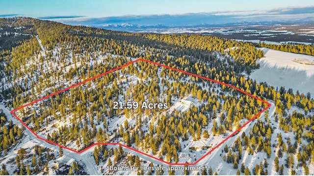 drone / aerial view with a mountain view and a forest view