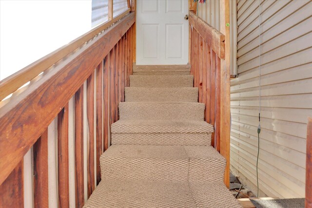 stairs with carpet floors and wood walls