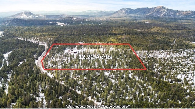 aerial view with a mountain view and a view of trees