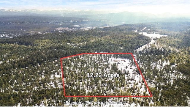 aerial view featuring a mountain view and a view of trees