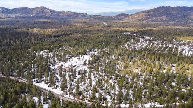 view of mountain feature with a forest view