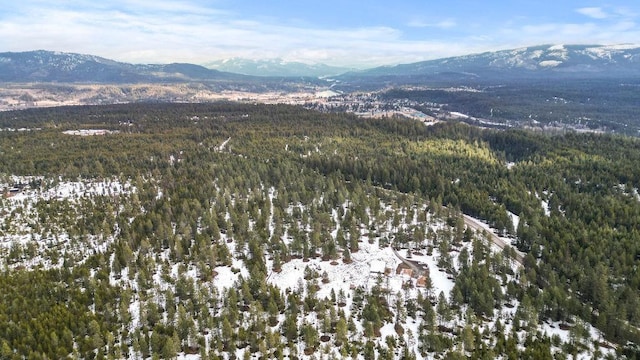 view of mountain feature featuring a wooded view