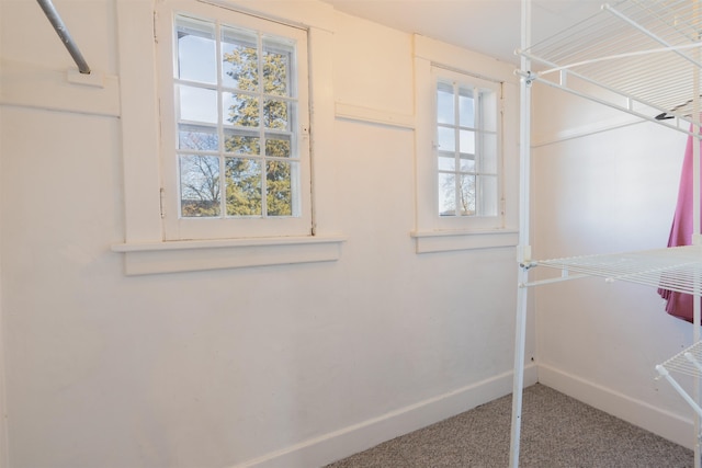 spacious closet with carpet floors