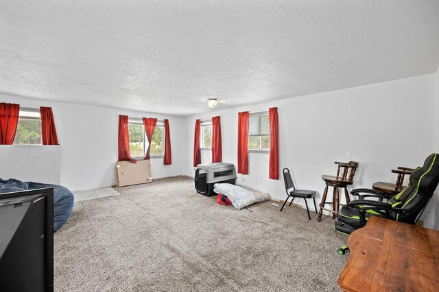 sitting room featuring carpet floors and a textured ceiling