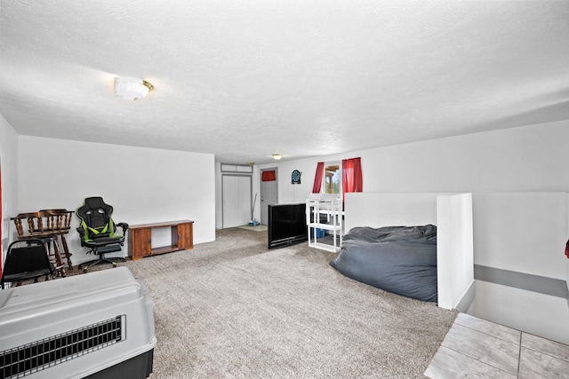 carpeted living room featuring a textured ceiling and heating unit