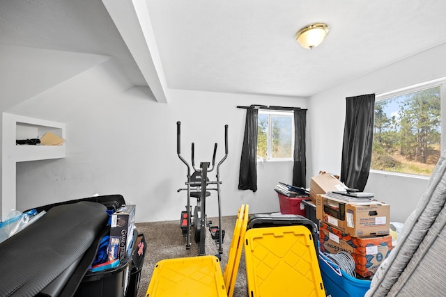 exercise room with lofted ceiling and carpet