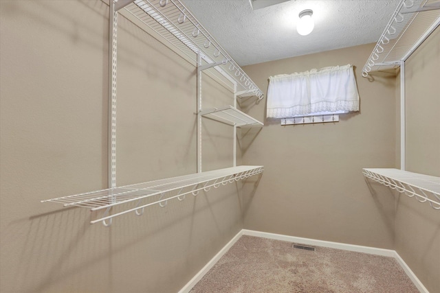 walk in closet featuring carpet floors