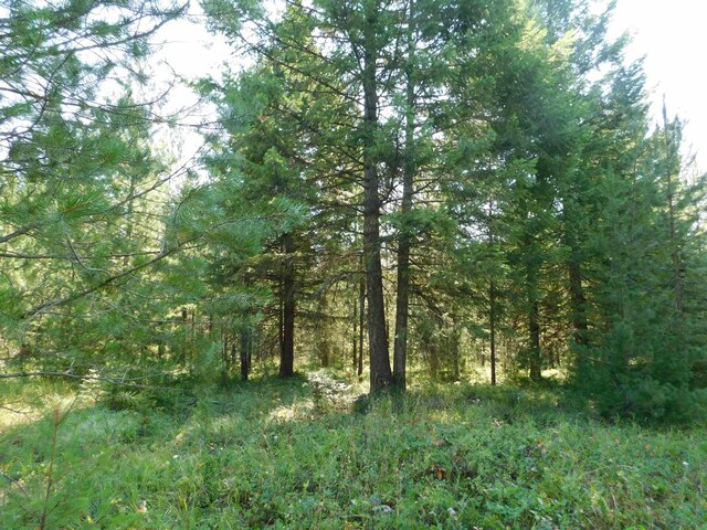 XXO Deer Valley Rd Unit Parcel A, Newport, WA 99156