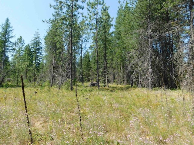 XXO Deer Valley Rd Unit Parcel A, Newport, WA 99156