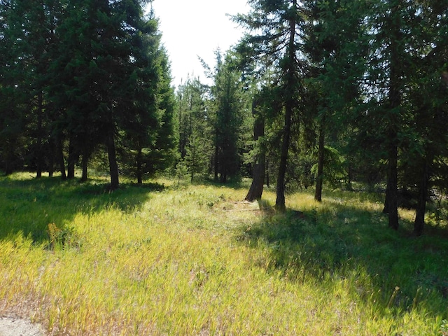 XXO Deer Valley Rd Unit Parcel A, Newport, WA 99156