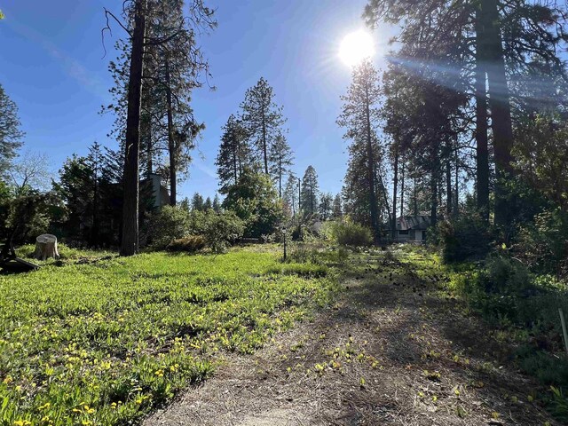 3334 S Manito Blvd, Spokane, WA 99203 - photo 3