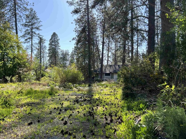 3334 S Manito Blvd, Spokane, WA 99203 - photo 4