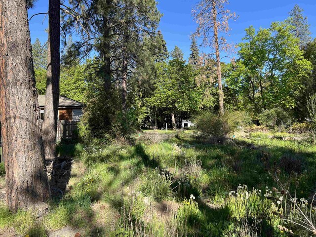 3334 S Manito Blvd, Spokane, WA 99203 - photo 5