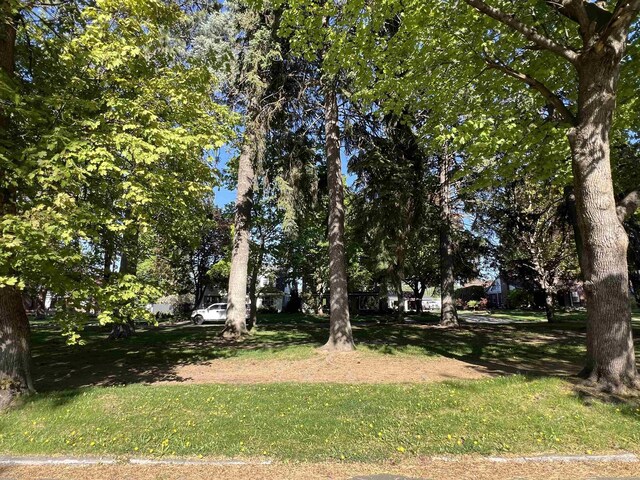 3334 S Manito Blvd, Spokane, WA 99203 - photo 10