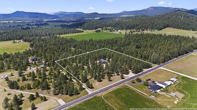 bird's eye view featuring a mountain view and a wooded view