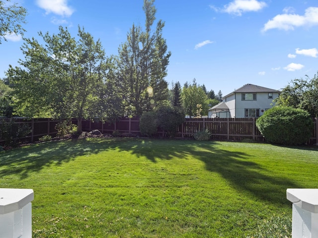 view of yard with a fenced backyard