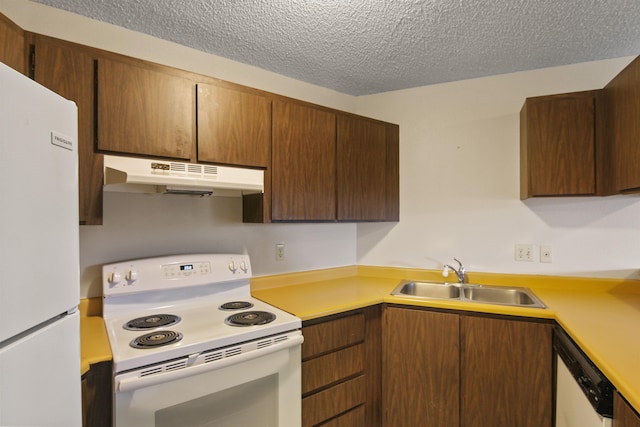 kitchen featuring under cabinet range hood, white appliances, a sink, and light countertops