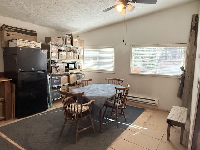 dining space featuring vaulted ceiling, a textured ceiling, a baseboard radiator, and plenty of natural light