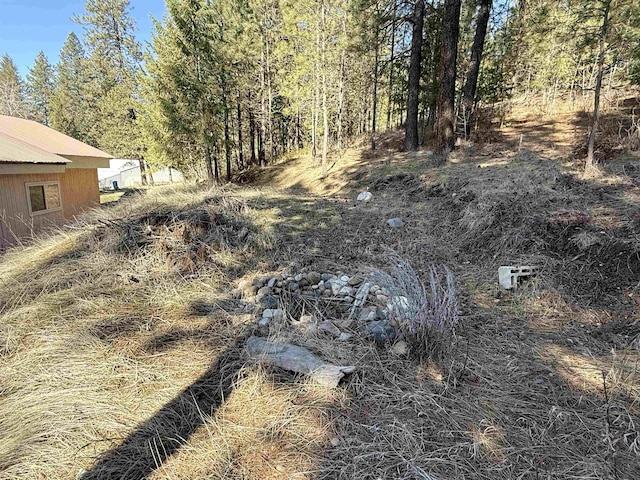 view of yard with a view of trees