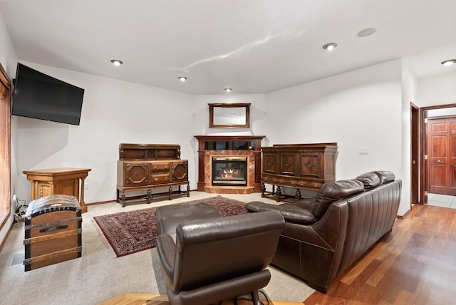 living area featuring baseboards, a fireplace, wood finished floors, and recessed lighting