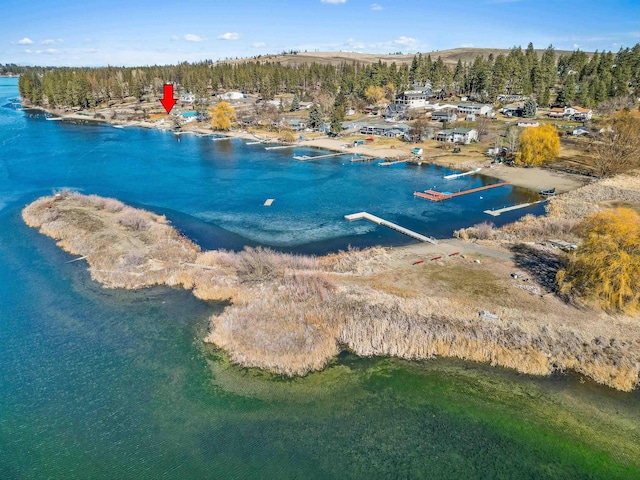 aerial view with a water view and a forest view