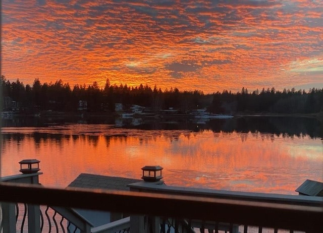 water view featuring a dock