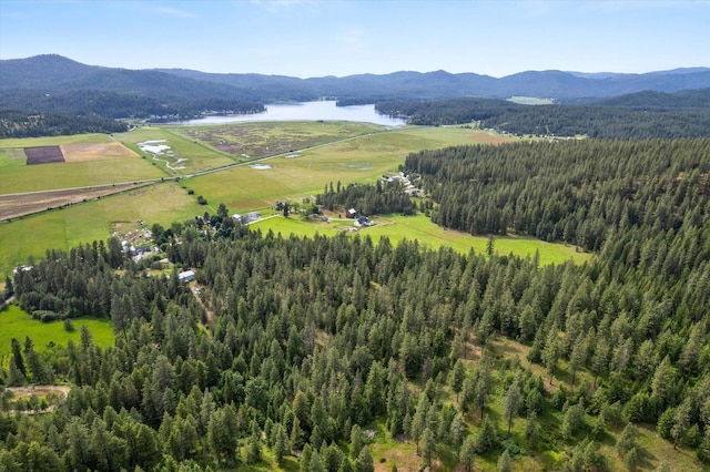 drone / aerial view featuring a view of trees and a water and mountain view