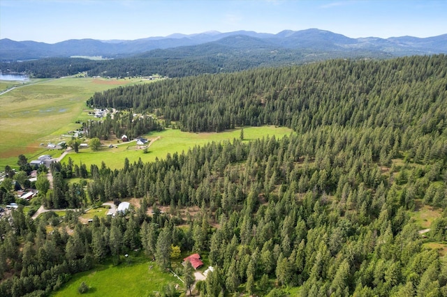 birds eye view of property featuring a mountain view and a view of trees