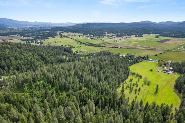 aerial view with a mountain view and a rural view