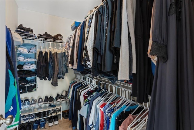 walk in closet with carpet floors