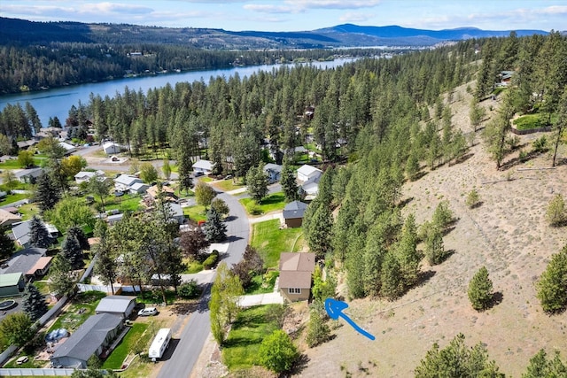 drone / aerial view with a wooded view and a water and mountain view