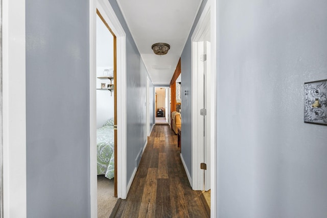 corridor featuring dark wood-style flooring