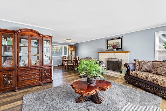 living area featuring ornamental molding, a healthy amount of sunlight, a fireplace, and wood finished floors