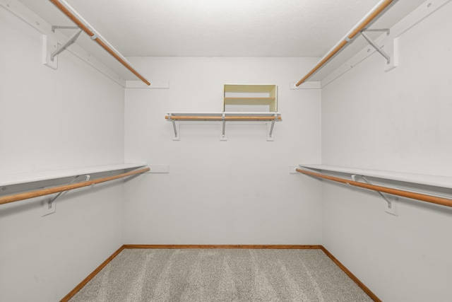 spacious closet featuring carpet flooring