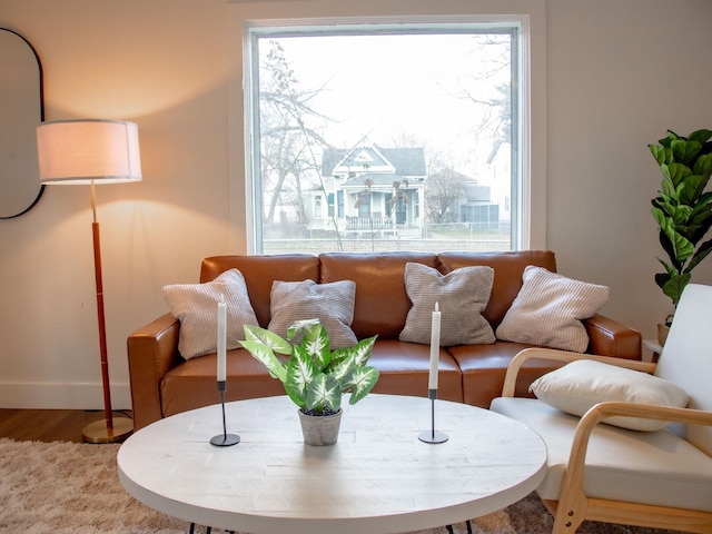 living room with a healthy amount of sunlight, baseboards, and wood finished floors