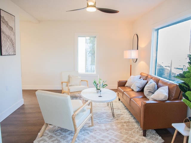 living area with ceiling fan, baseboards, and wood finished floors