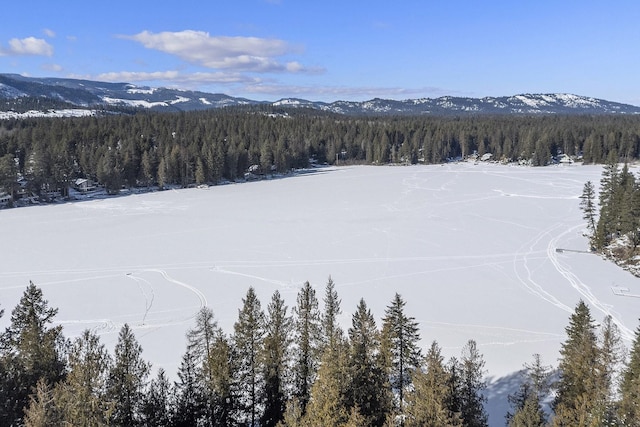 snowy aerial view with a mountain view and a wooded view