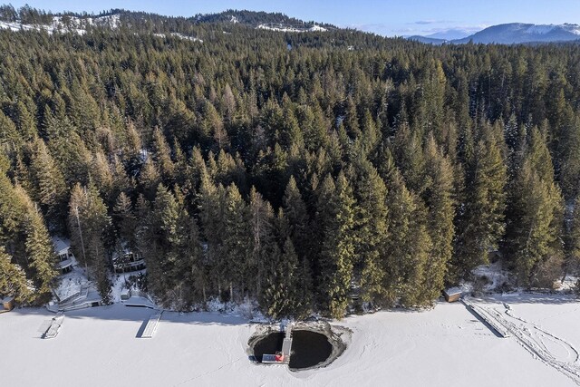 bird's eye view featuring a mountain view and a view of trees