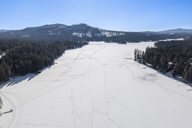 snowy aerial view with a forest view and a mountain view